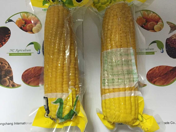 corn1.JPG