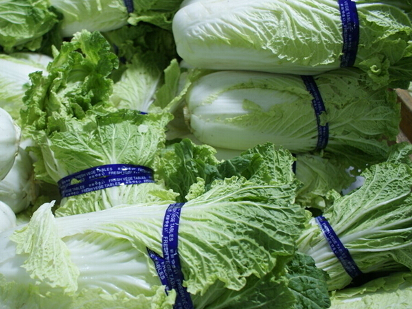 白菜.jpg