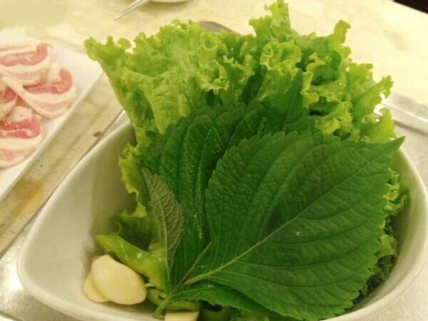 苏子叶2.jpg